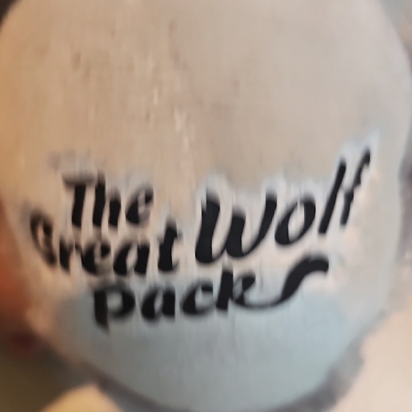 Build-A-Bear Oliver Raccoon - Picture 4 of 6